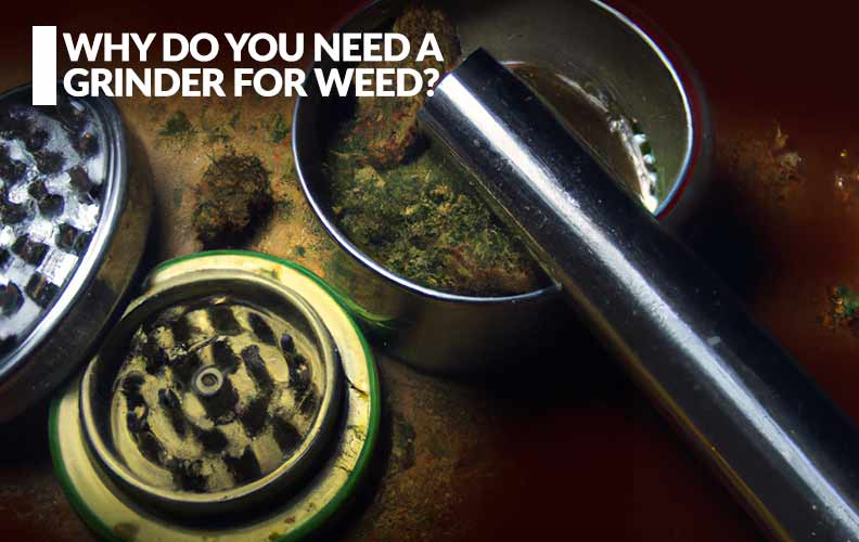 Why do you need a grinder for herb?
