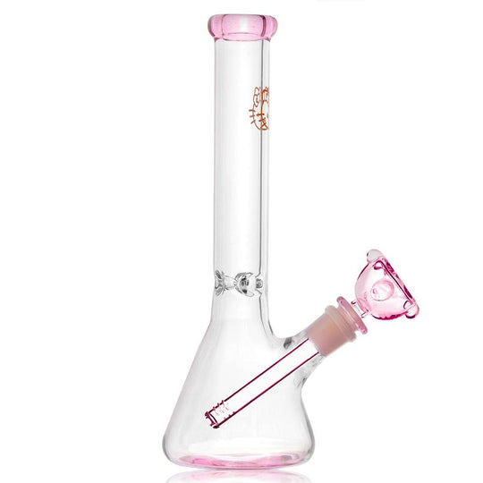 10 INCH HK 5MM BEAKER WATER PIPE